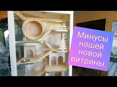 Новая витрина для шиншилл с колесом. Дом для шиншиллы. Обзор витрины ...