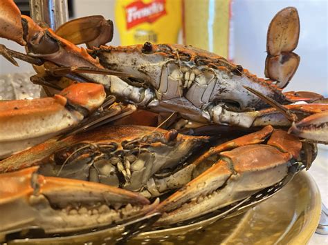 Restaurants Specials Near Me Delaware Beaches - Delaware Beaches Events