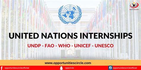 United Nations Internships 2024 25 [fully Funded And Paid