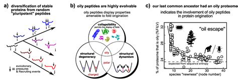 Proteomes Free Full Text Dynamic New World Refining Our View Of