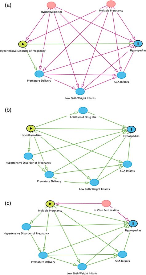 Directed Acyclic Graphs DAGs For Identifying Confounding Variables