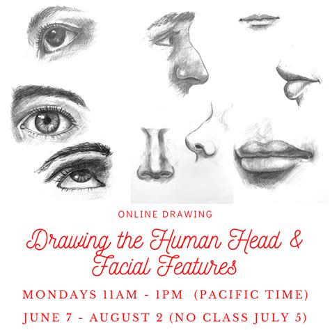 Online: Drawing the Human Head & Facial Features — Charlene Collins ...