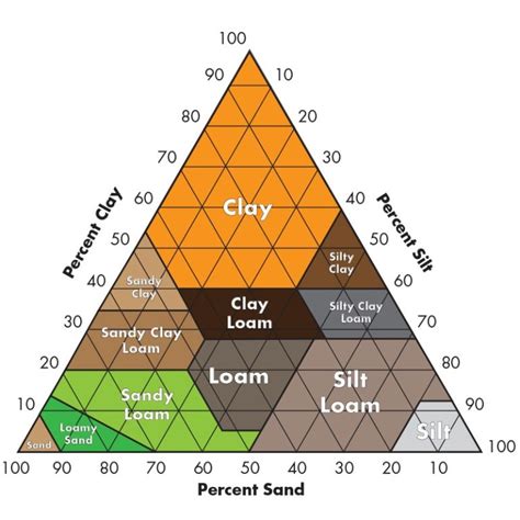 Make Your Perfect Succulent Soil Using This Recipe | Succulent City