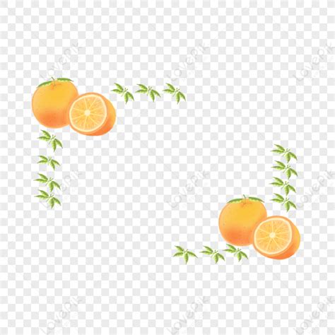 orange border border summer border plant border png image image