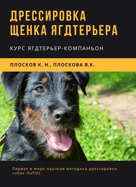 Дрессировка собак ЛИРОС | ВКонтакте