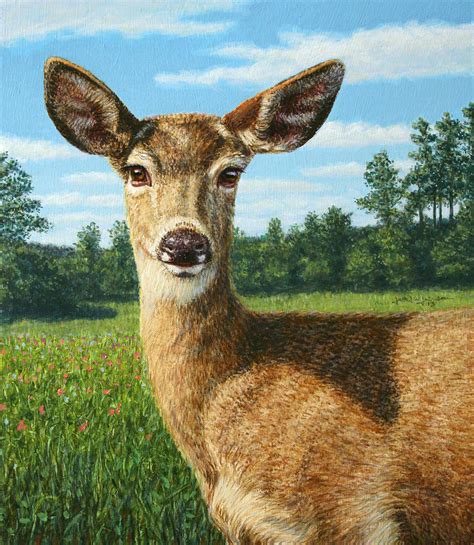 A Sunny Doe Painting By James W Johnson