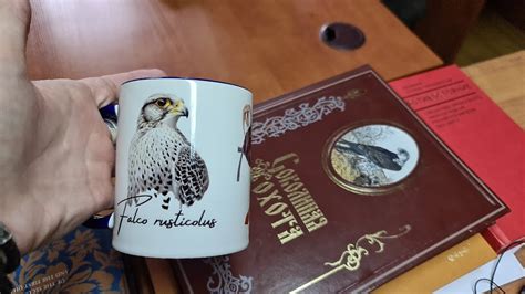 Yoll's стрим из Коломенского. Сергей Ярцев и Соколиный Двор - YouTube