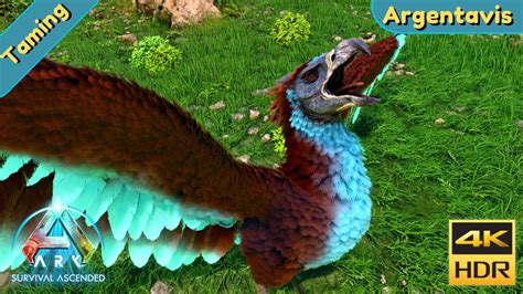 ARK Survival Ascended : Tame an Argentavis - YouTube