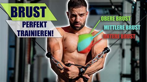 Brustmuskel Training BESTEN ÜBUNGEN wissenschaftlich belegt