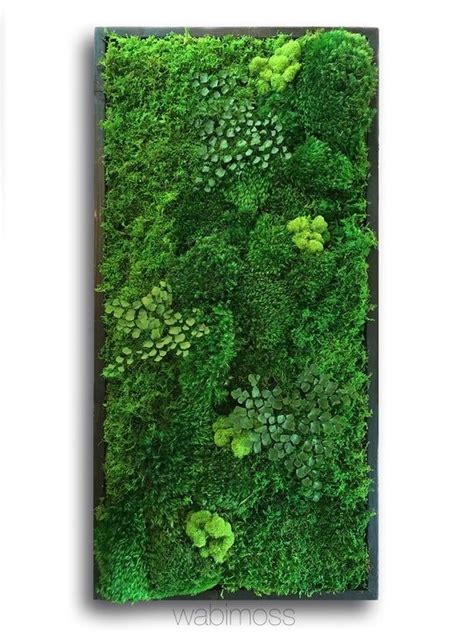 18x36 Real Preserved Moss Wall Art No Sticks No Care Green Wall Art