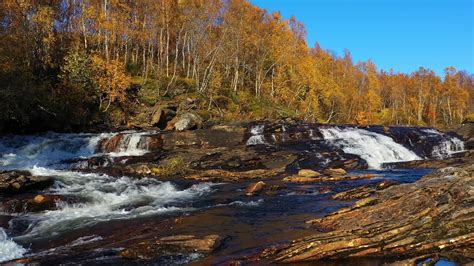 River flowing in the autumn forest