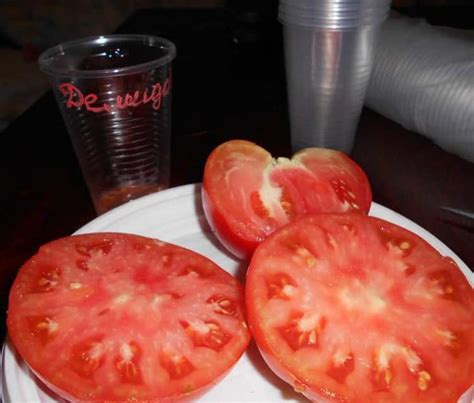 Томат "Демидов": характеристика и описание сорта, отзывы, фото