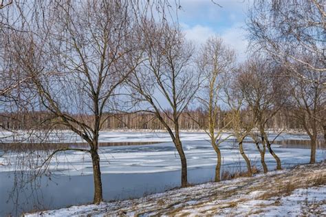 Page Naked Tree Pictures