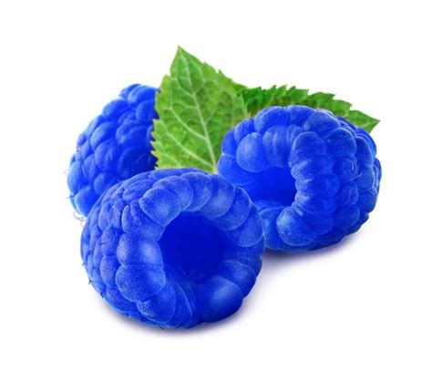blue raspberry stock  royalty  blue raspberry images