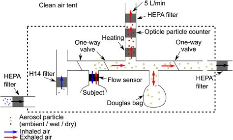 Respiratory aerosol particle emission and simulated infection risk is