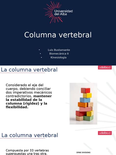 Clase 2 Columna Vertebral Parte 1 Pdf