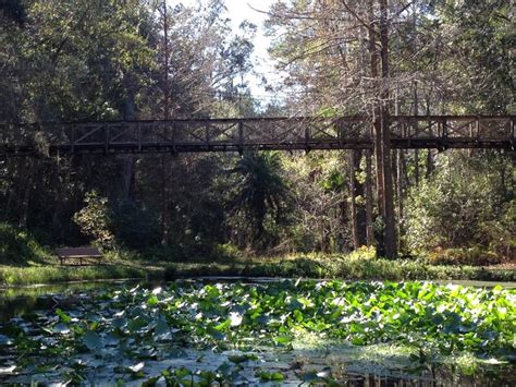 Exploring The Serenity Of Ravine Gardens State Park