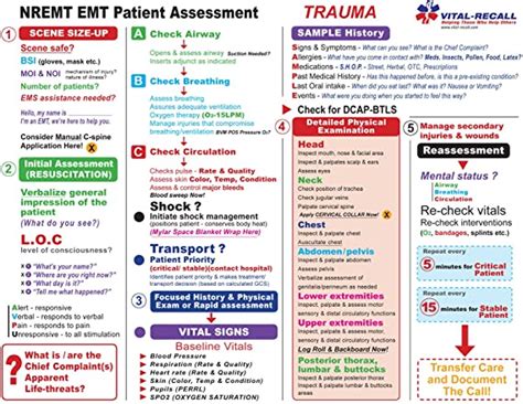 What Is Primary Assessment Emt