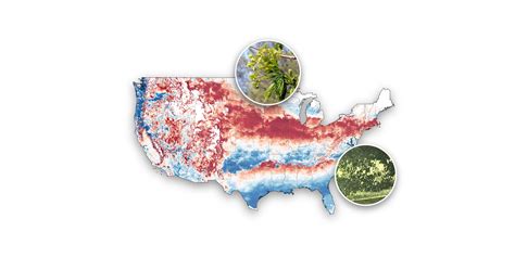 Allergy sufferers hit with more pollen as rising temps increase in US