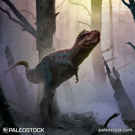 Gorgosaurus | Prehistoric Wiki | Fandom