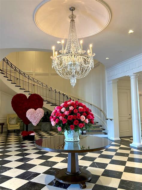 Rare wildlife sightings at rosewood beach surprise local hikers 20