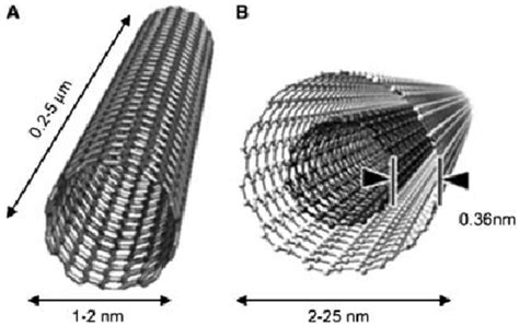 Classification Of Carbon Nanotubes A Single Walled Carbon Nanotubes