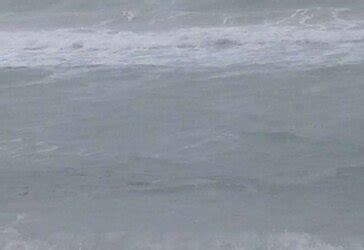 Haulover Naturist Beach Zb Porn