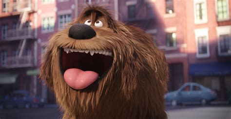 What Dog Breed Is Duke From Secret Life Of Pets