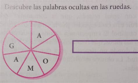 Descubre Las Palabras Ocultas En Las Ruedas Brainly Lat