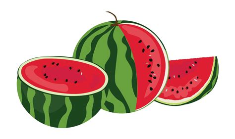 Watermelon Vector Illustration Whole Watermelon And Watermelon In Half