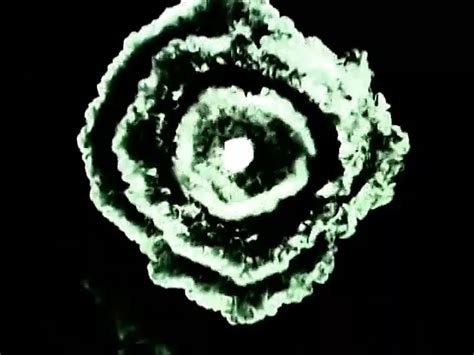 Sophie Roche Porn Videos Porn Star Sex Scenes XHamster