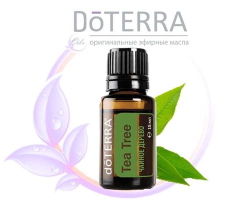 Чайное дерево Tea Tree Дотерра Эфирное масло 15 мл (834709648)