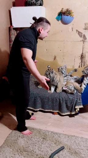Gosha On Instagram Cat Cute Animal Videos Adorable Cute Animals