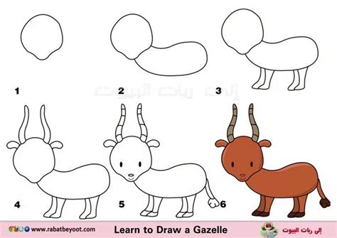 Acerca De Dibujo De Una Liebre Paso A Paso En Línea Dibujos Para Colorear