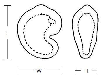 Length L Width W And Thickness T Of The Cashew Kernel