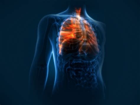 Como Saber Se Estou Com Problema No Pulmão - OncoExperts - Artigos - Problemas no pulmão podem levar ao infarto e ao ...