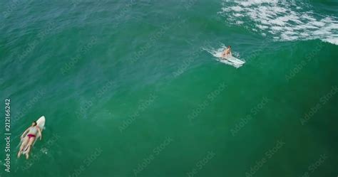 Vid O Stock Beautiful Surfer Woman In Sexy Bikini With Surfing Longboard Girl Paddle On Big