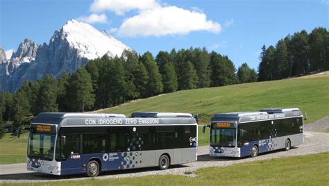 Cinque International