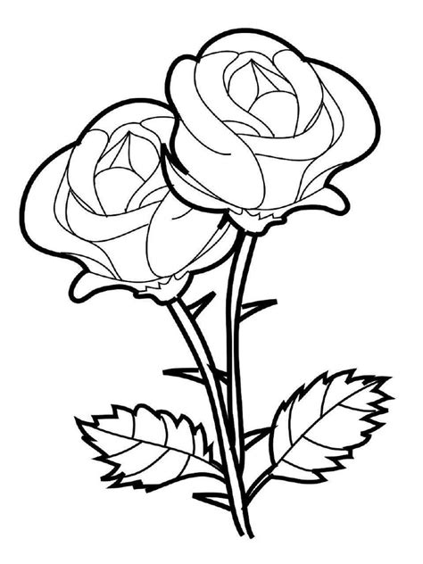 gambar bunga ros lukisan  koleksi gambar