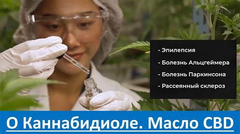Рассказ о каннабидиоле - Масло CBD, LiveGood, Ливгуд - YouTube
