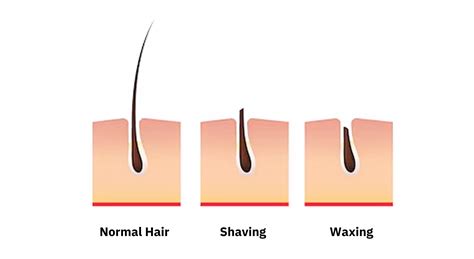 Waxing vs Shaving: Which is better? – BOVEM®
