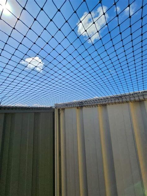 Cat Netting Enclosure | Kittysafe