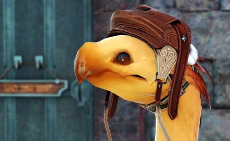 lightweight eorzea collection