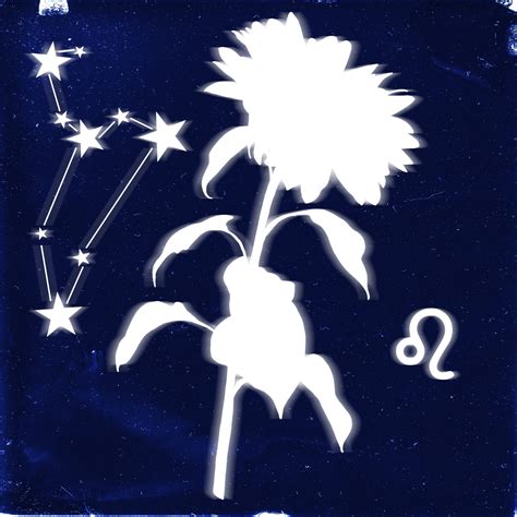 Next week looks even better according to the daily horoscope for leo 15