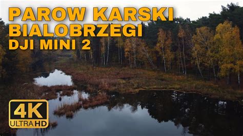 PAROW KARSKI BIALOBRZEGI POLAND 4K DJI MINI 2 YouTube