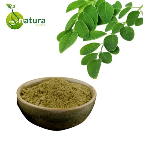 Moringa Leaves Powder In Bengaluru Karnataka Moringa Leaves Powder