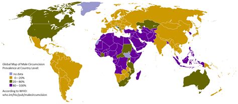 Trailing Normal Circumcision