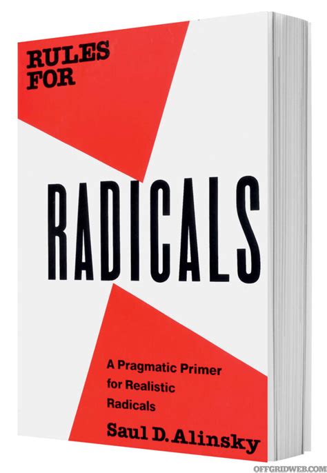 Book Review Rules For Radicals A Pragmatic Primer For Realistic