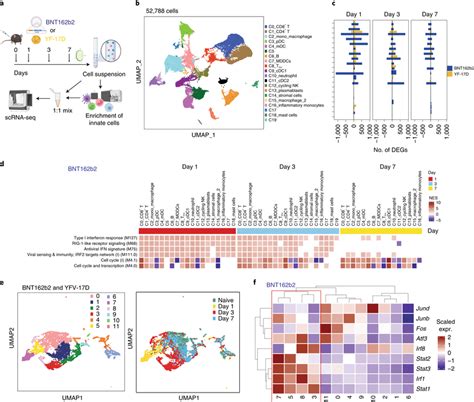 Single Cell Transcriptional Response Induced By BNT162b2 And YF 17D