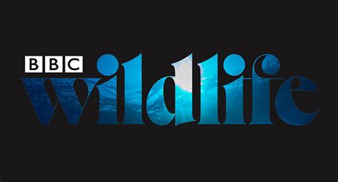 Bbc Wildlife Magazine
